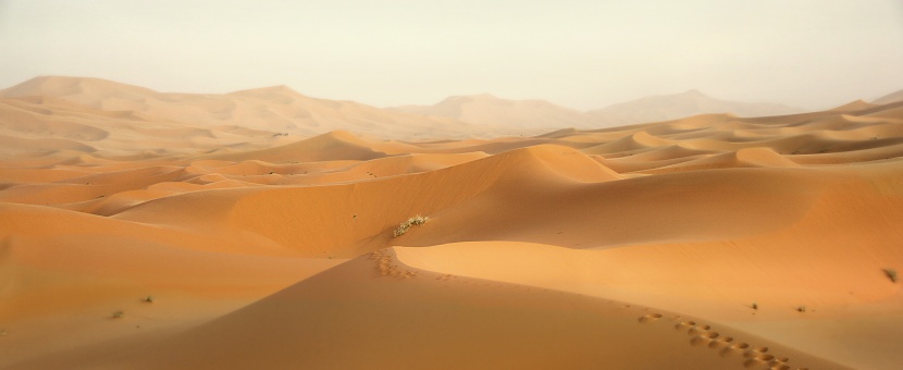干旱广袤的撒哈拉沙漠自然风景图片