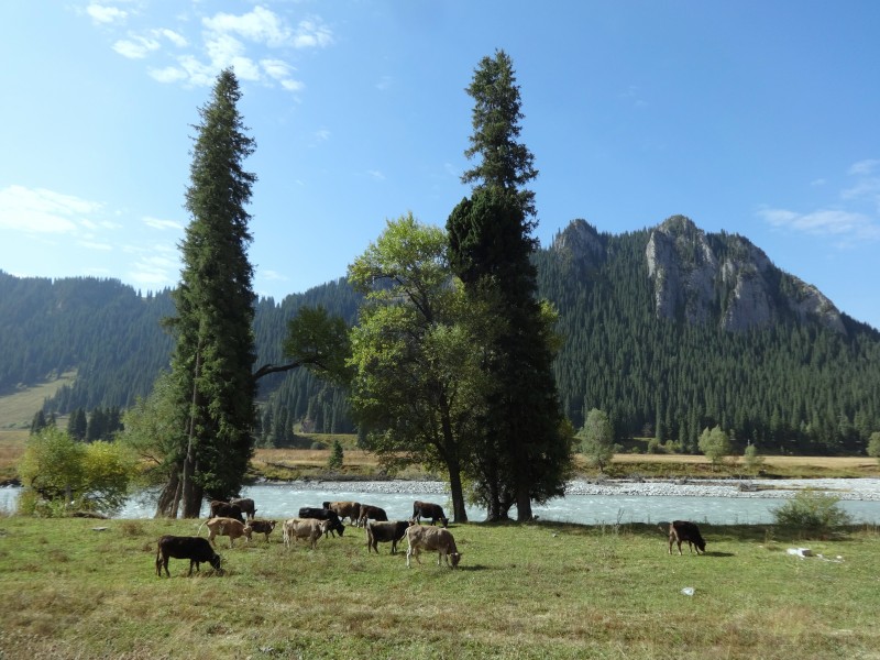 大美新疆自然风景图片