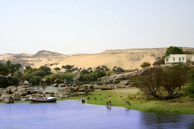 埃及阿斯旺风景图片