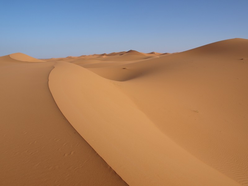 辽阔荒芜的撒哈拉沙漠自然风景图片