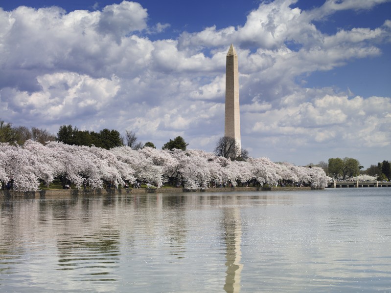 美国华盛顿纪念碑图片