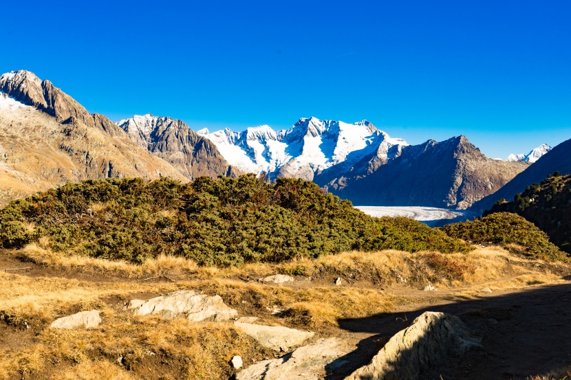 瑞士阿莱奇冰川自然风景图片