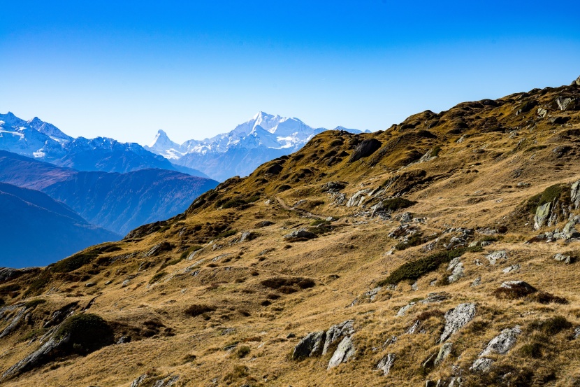 瑞士阿莱奇冰川自然风景图片