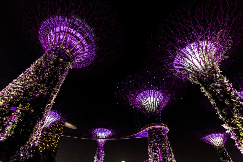 新加坡华丽的建筑风景图片