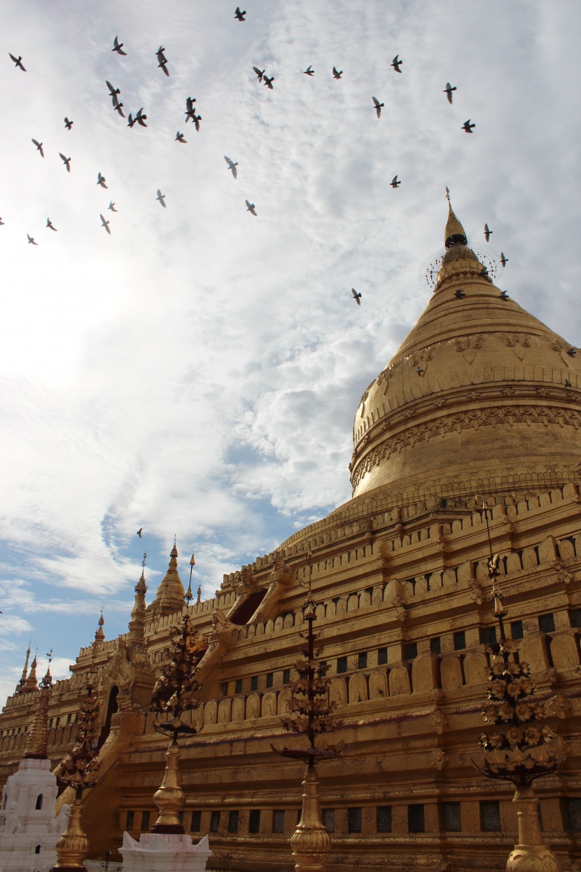 缅甸仰光大金塔建筑风景图片