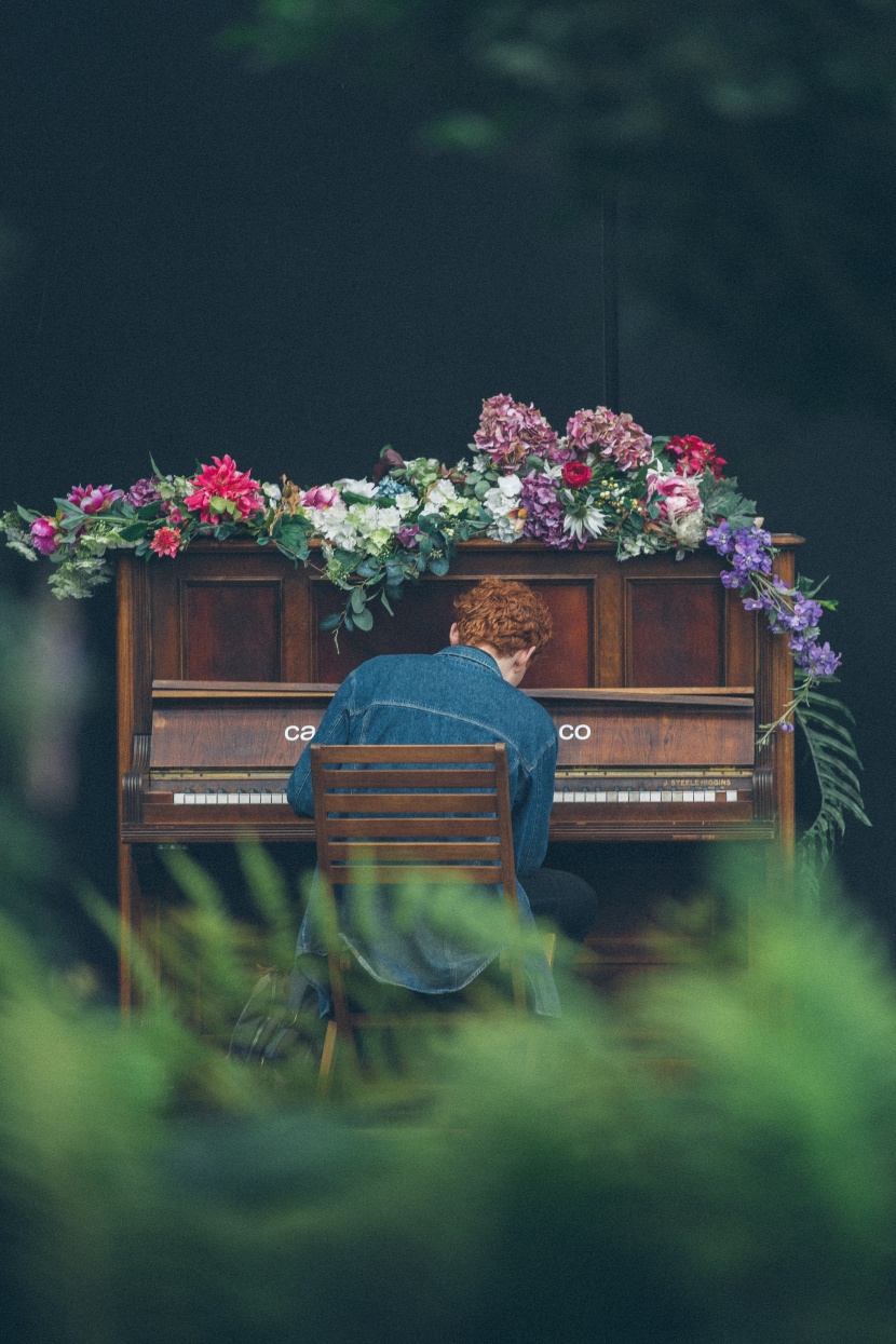 弹钢琴的人图片