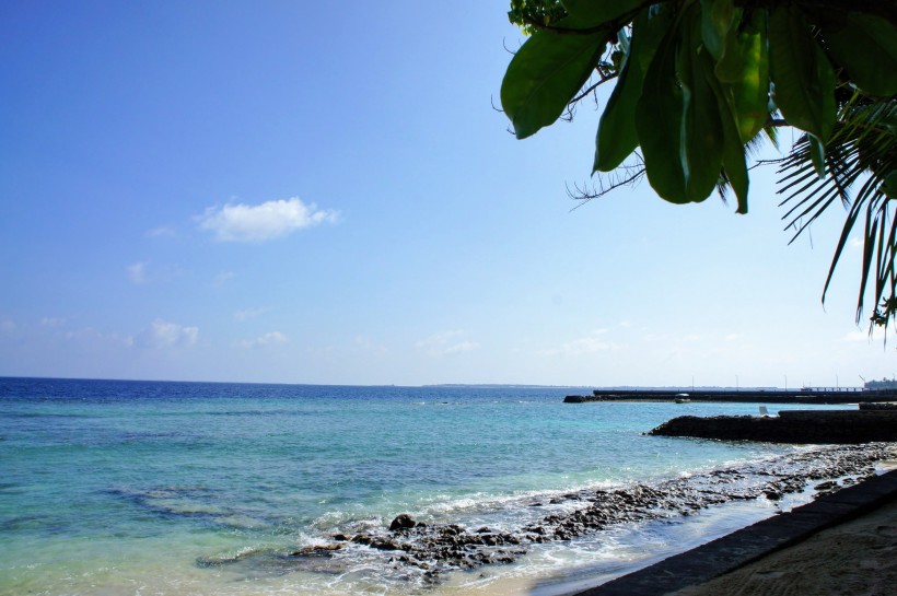 浪漫的马尔代夫海岸风景图片