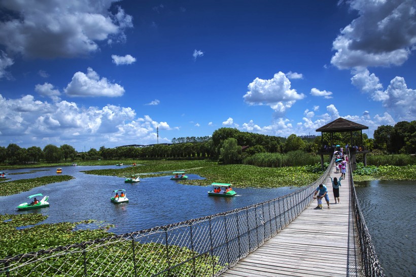 山东胶州湿地公园风景图片