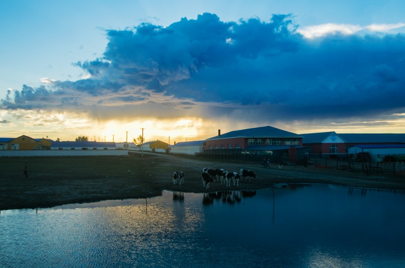 内蒙古呼伦贝尔风景图片