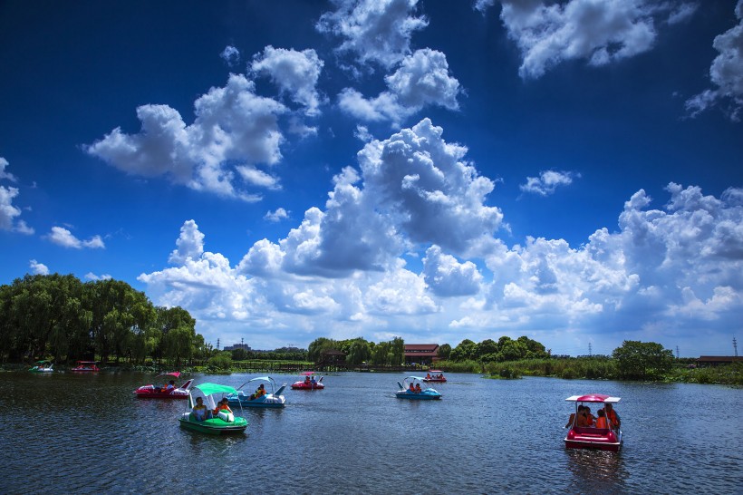 山东胶州湿地公园风景图片