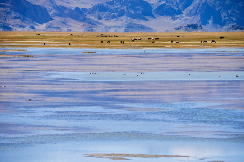 西藏阿里风景图片  
