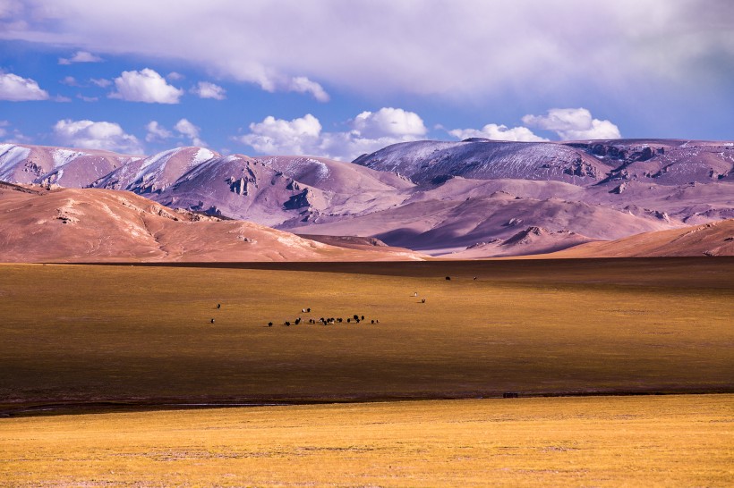 西藏阿里改则风景图片