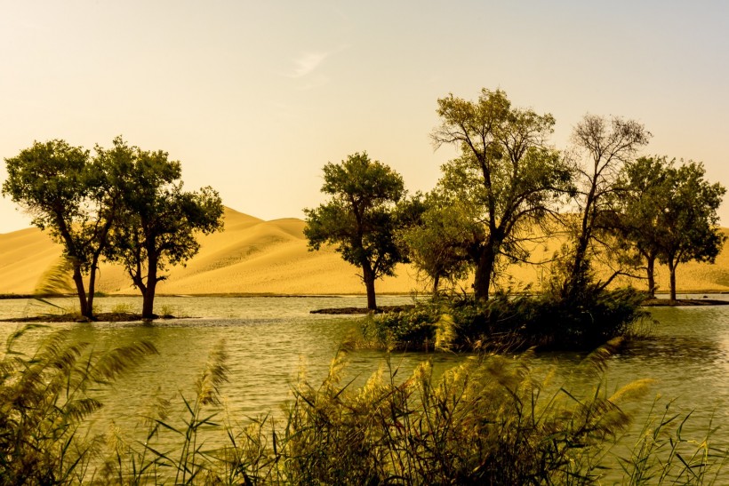 新疆罗布人村寨风景图片
