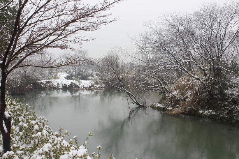 浙江杭州西溪湿地风景图片