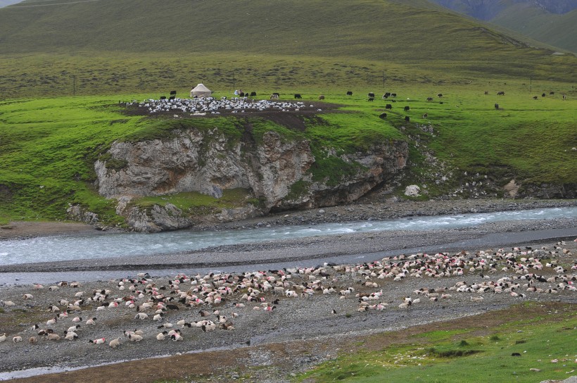 新疆天山牧场风景图片