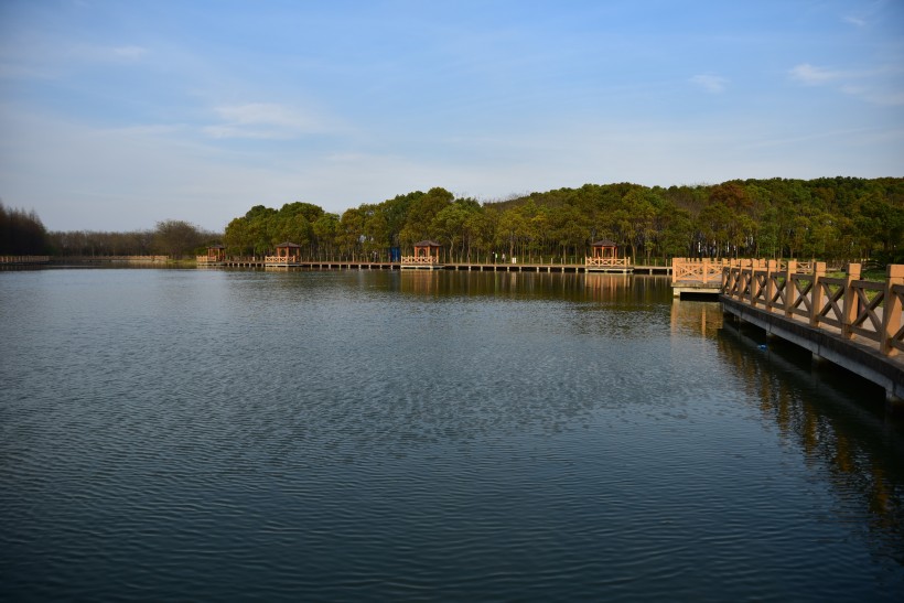 上海松江雪狼湖生态园风景图片