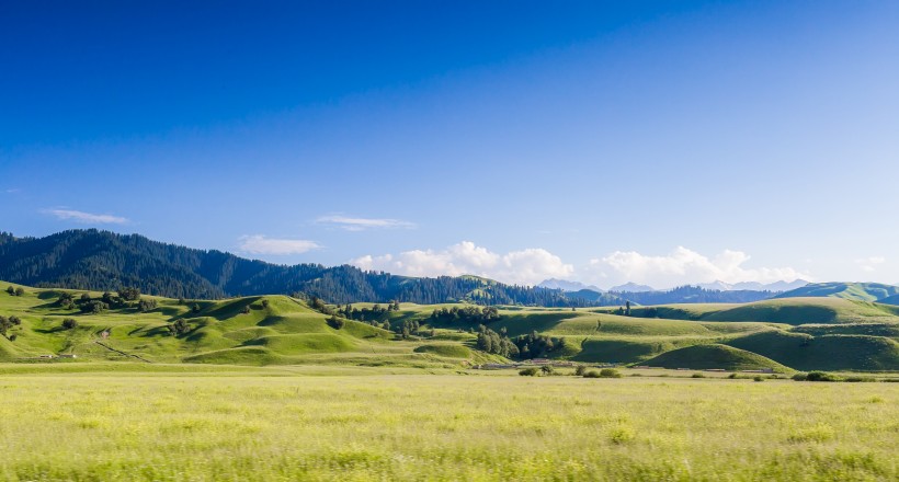新疆那拉提草原风景图片