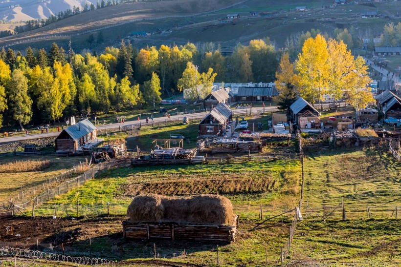 新疆白哈巴村风景图片