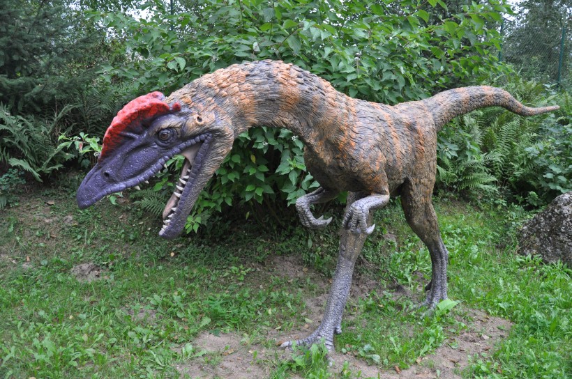 白垩纪时期的恐龙模型图片