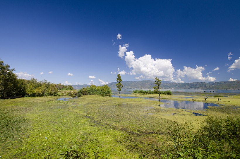 大理海舌生态公园风景图片