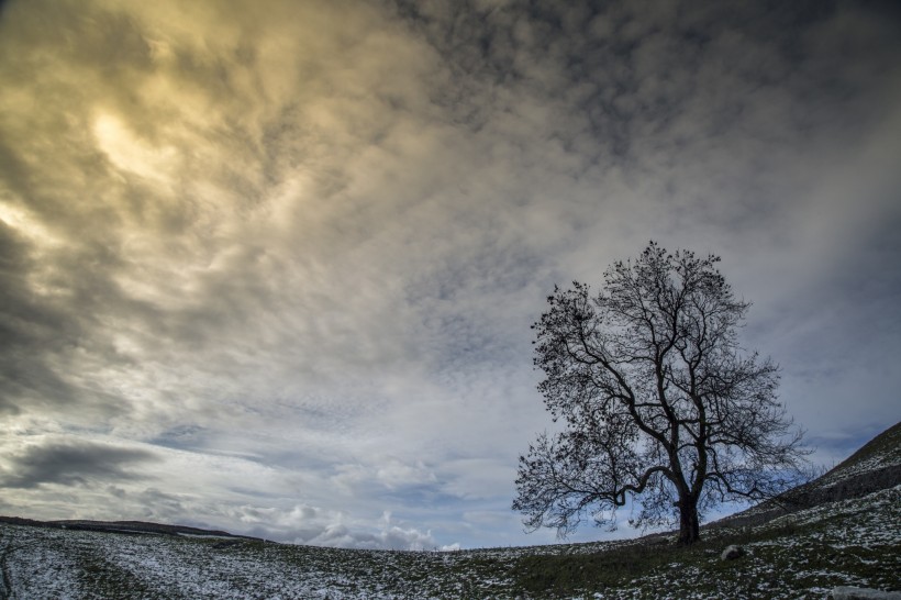 英格兰约克郡野外雪景图片