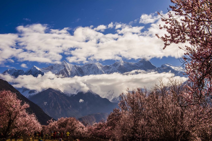 西藏南迦巴瓦峰风景图片