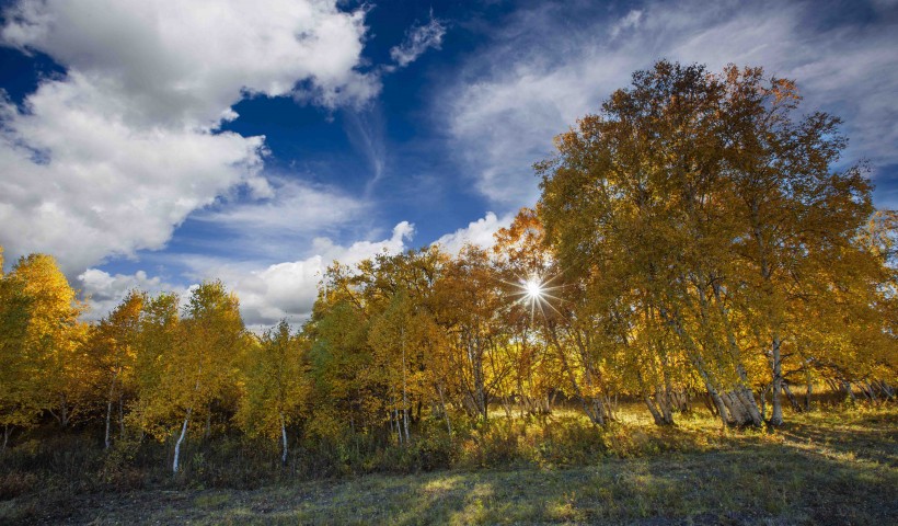 内蒙古乌兰布统风景图片