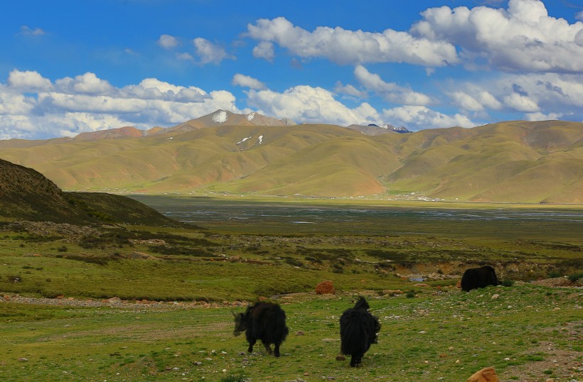 西藏当雄草原风景图片