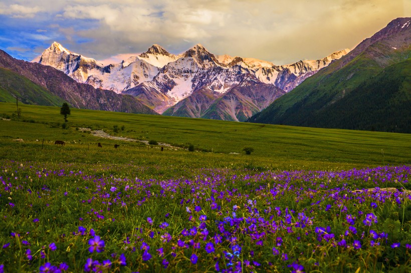新疆夏塔风景图片