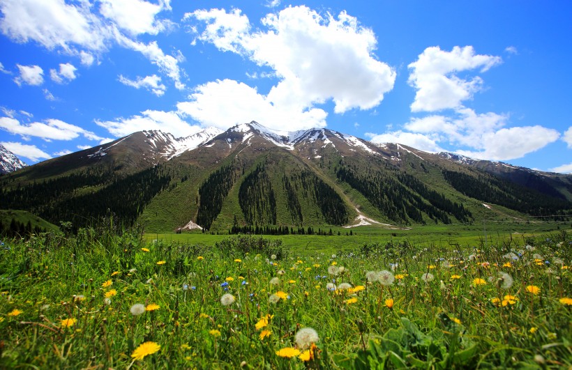 新疆天山风景图片
