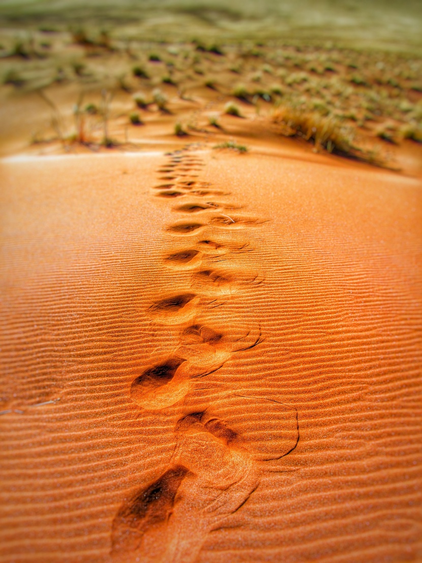 无边无垠孤寂的沙漠图片