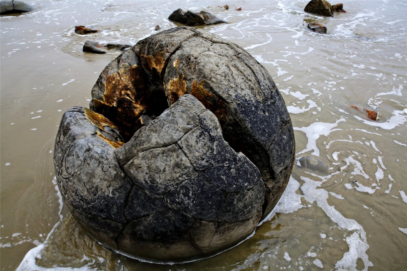 新西兰蓝岛摩拉基大圆石图片