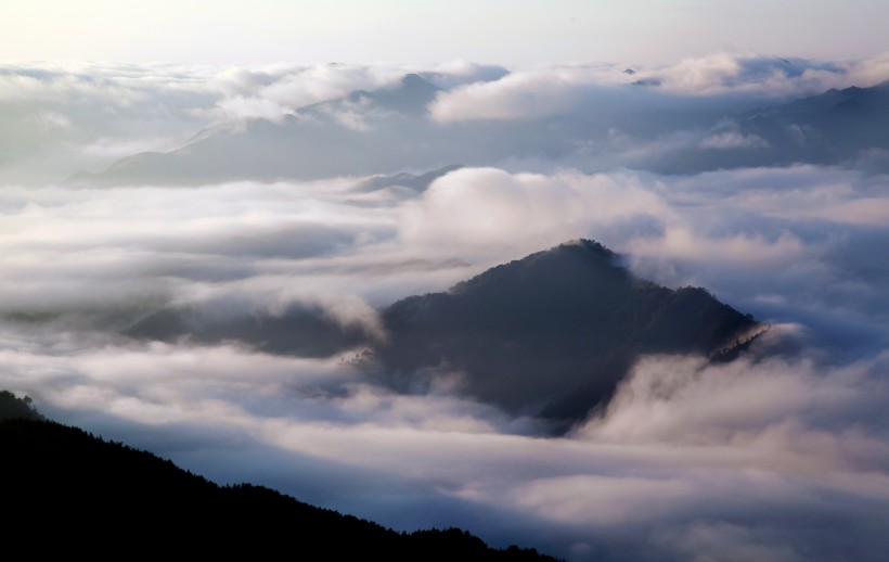 雾锁阳明山风景图片