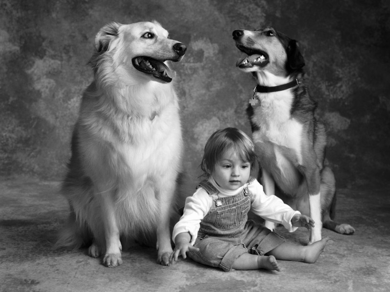 人与狗黑白图片