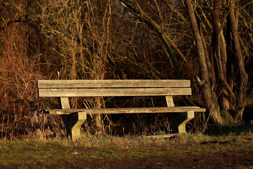 寂寞的公园长椅图片