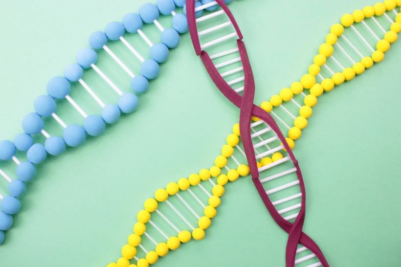 DNA模型高清图片