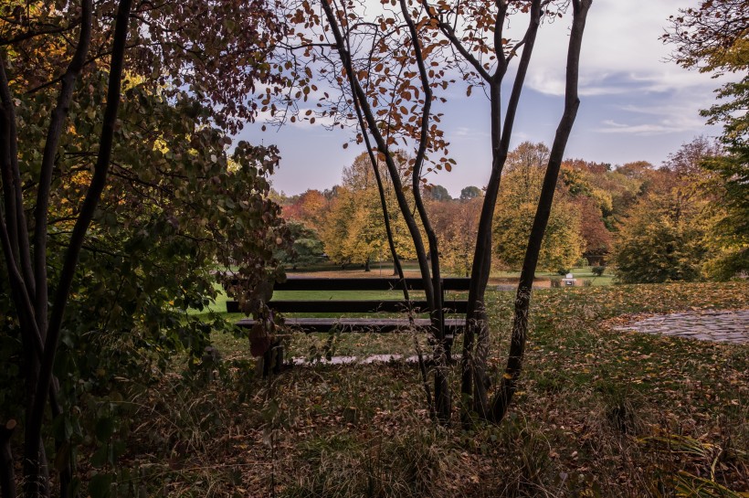 孤寂的公园长椅图片
