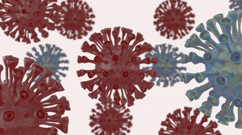 冠状病毒效果图图片