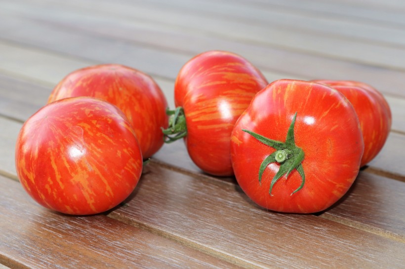 新鲜的红色番茄图片