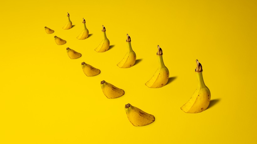 香蕉创意摄影图片