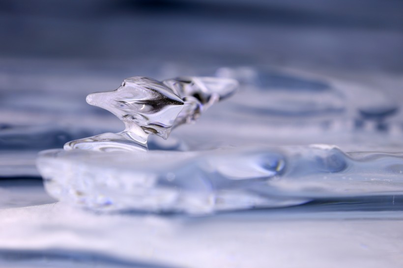 冰的微距图片