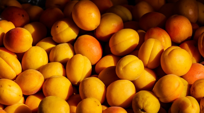 酸甜多汁的杏图片