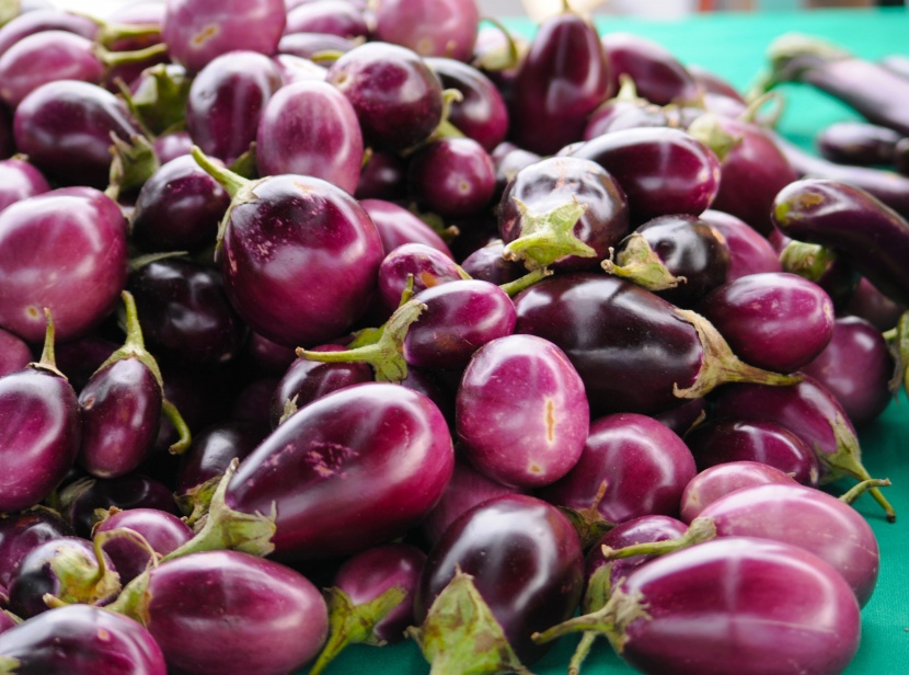 美味常见的紫茄子图片