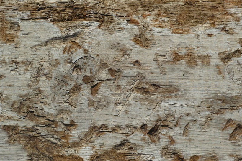 破旧的木头背景素材图片