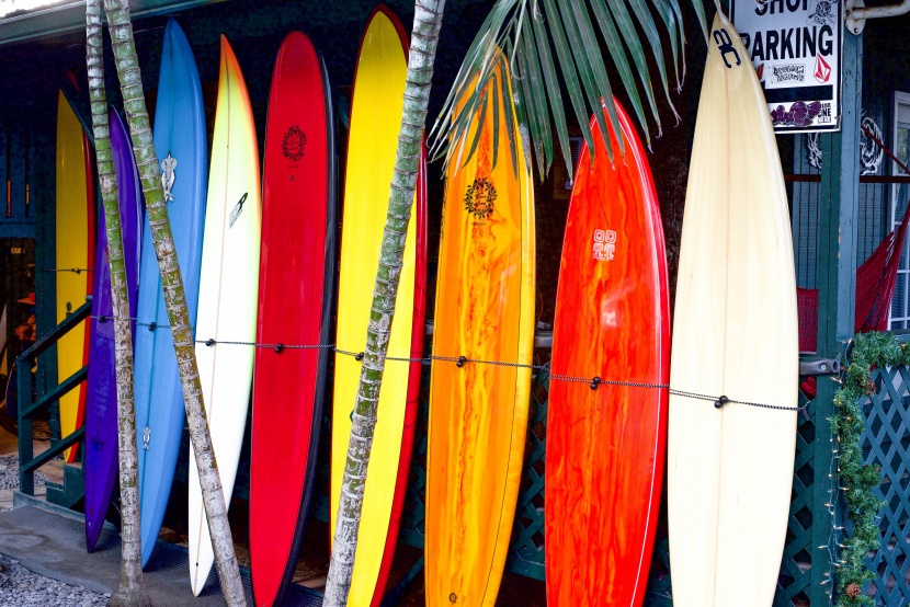 彩色多样的冲浪板图片