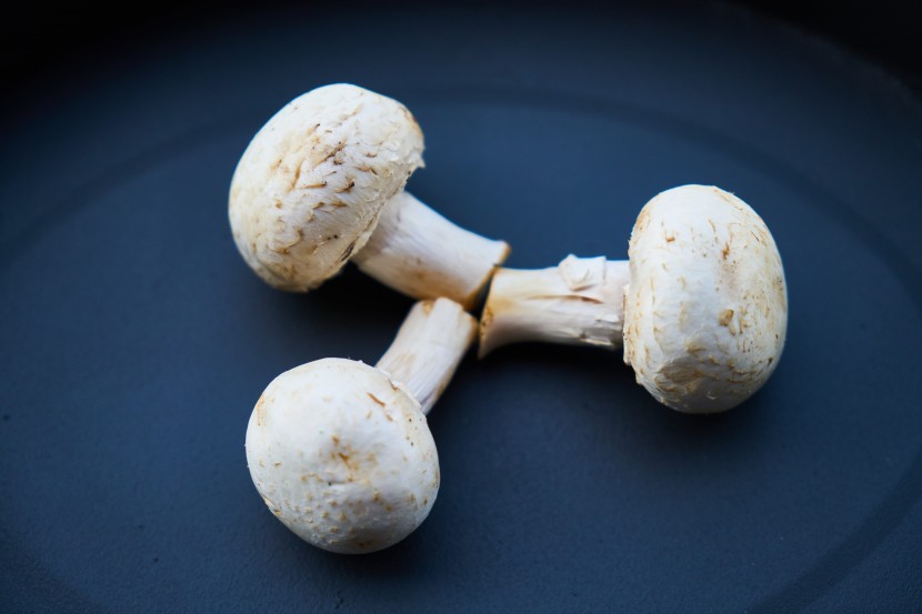 鲜美的双孢蘑菇图片