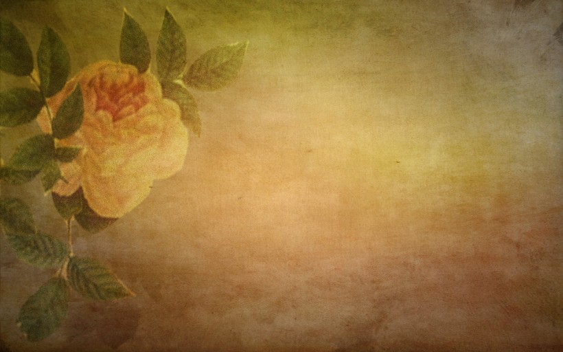 花卉彩绘背景素材图片
