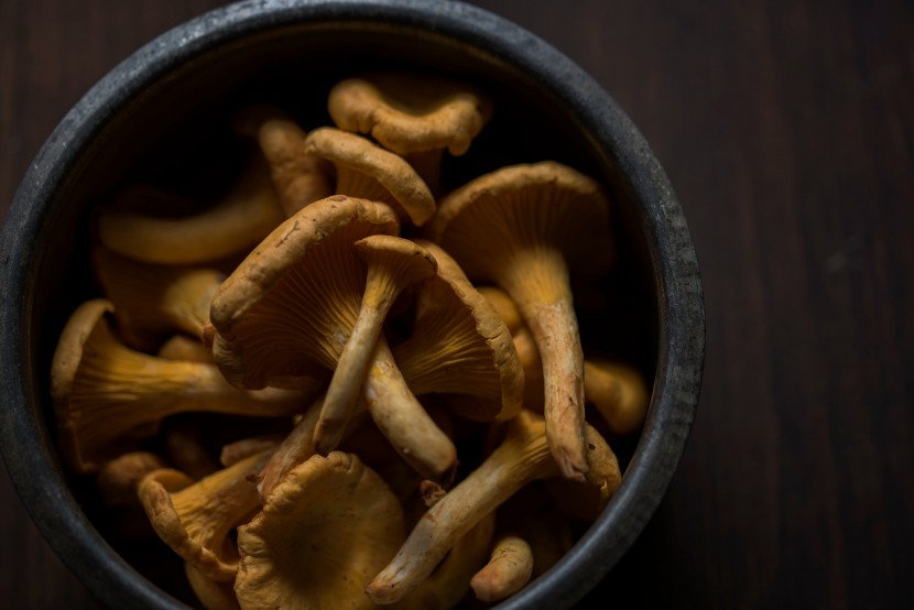 方便储存的干蘑菇图片