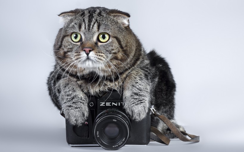 Zenit相机图片