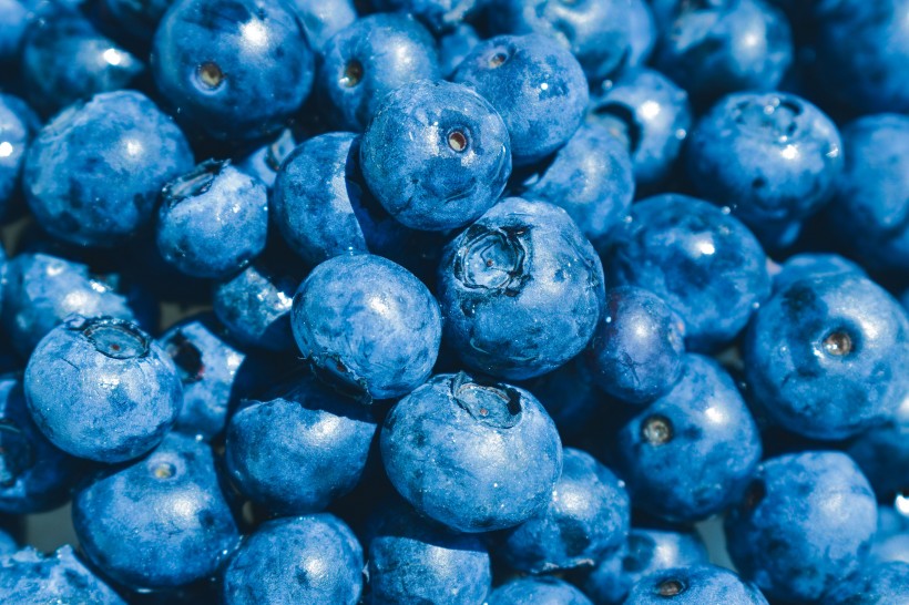 营养丰富的蓝莓图片